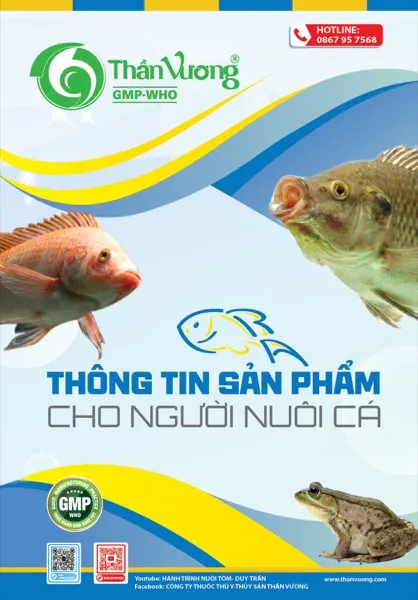 Catalogue sản phẩm Cá 2024